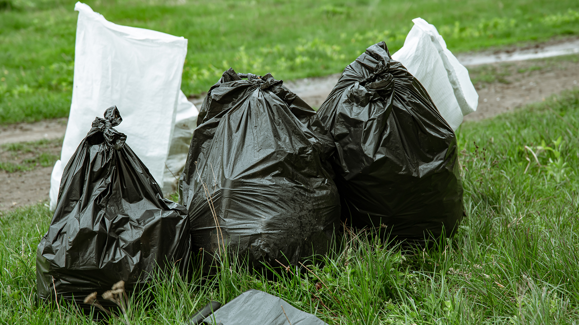 Rychlé vyklízení nemovitostí Praha